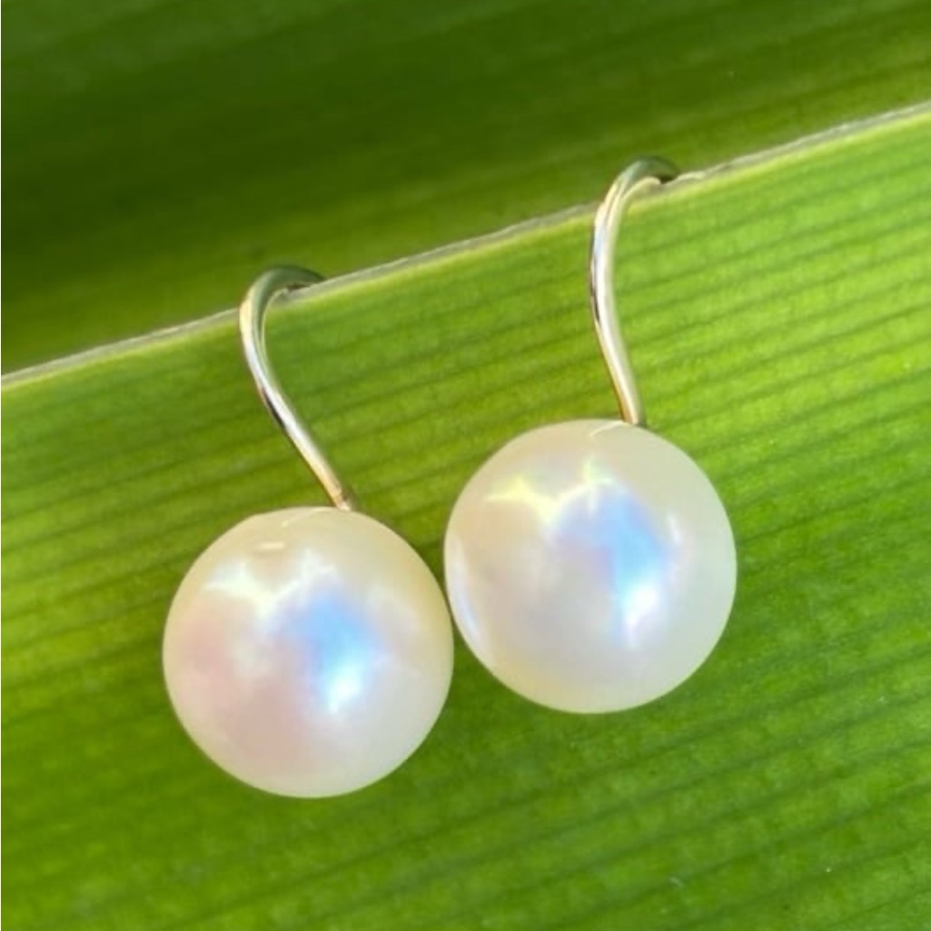 Vtg 14k Solid Yellow Gold About 10mm Akoya Pearl Screw Back Earrings Not Scrap